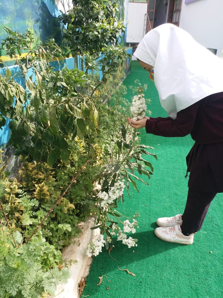 روزدرختکاری 